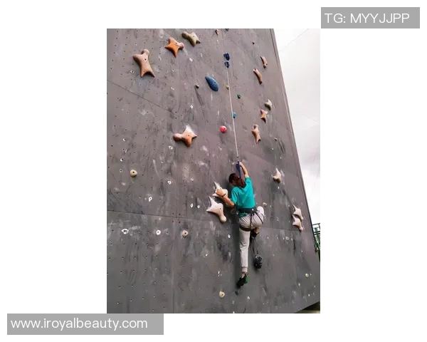 杭州攀岩队的力量与技术分析探索攀岩运动的未来发展方向