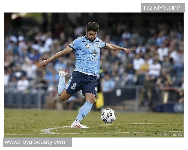 水手主场迎战珀斯全力争胜分析与预测