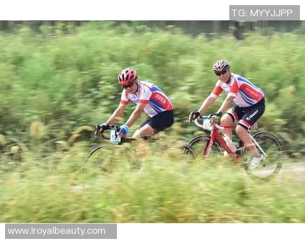 海夏普与亚特兰大对决精彩回顾及赛后分析