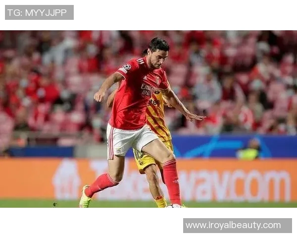 阿维斯对阵本菲卡精彩直播全程回顾与赛后分析